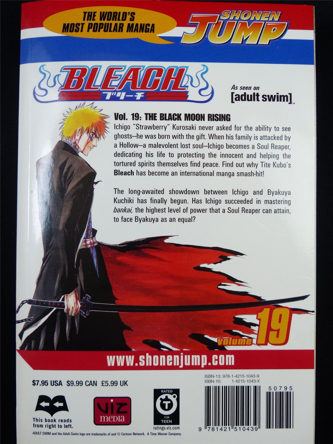 BLEACH Volume 19 - Shonen Jump Viz Manga #3IT