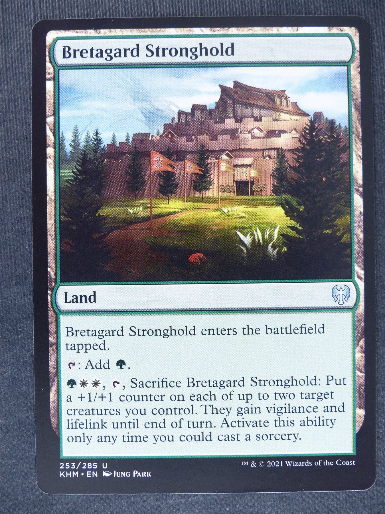 Bretagard Stronghold #N5