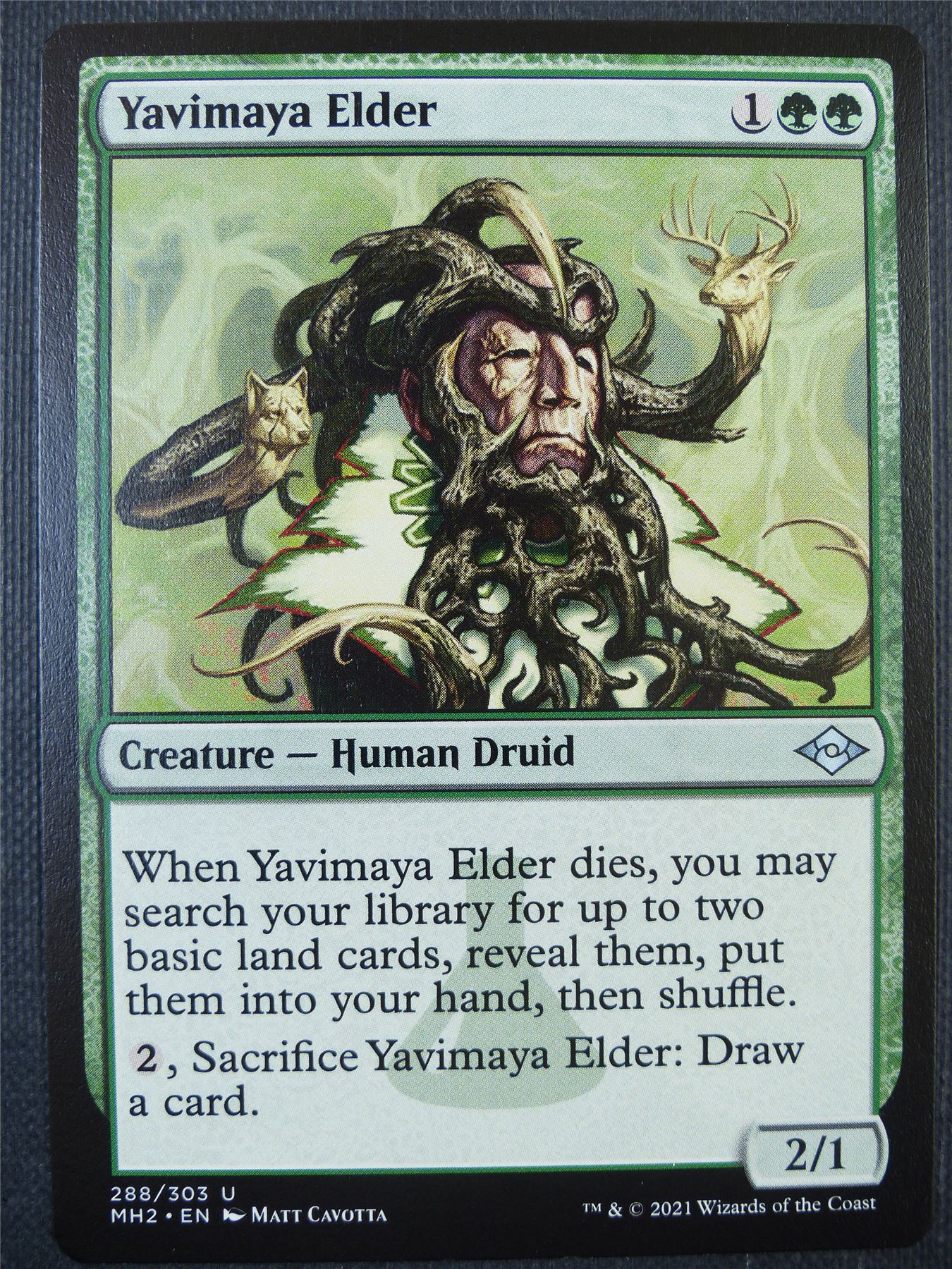 Yavimaya Elder - Mtg Card #6MD