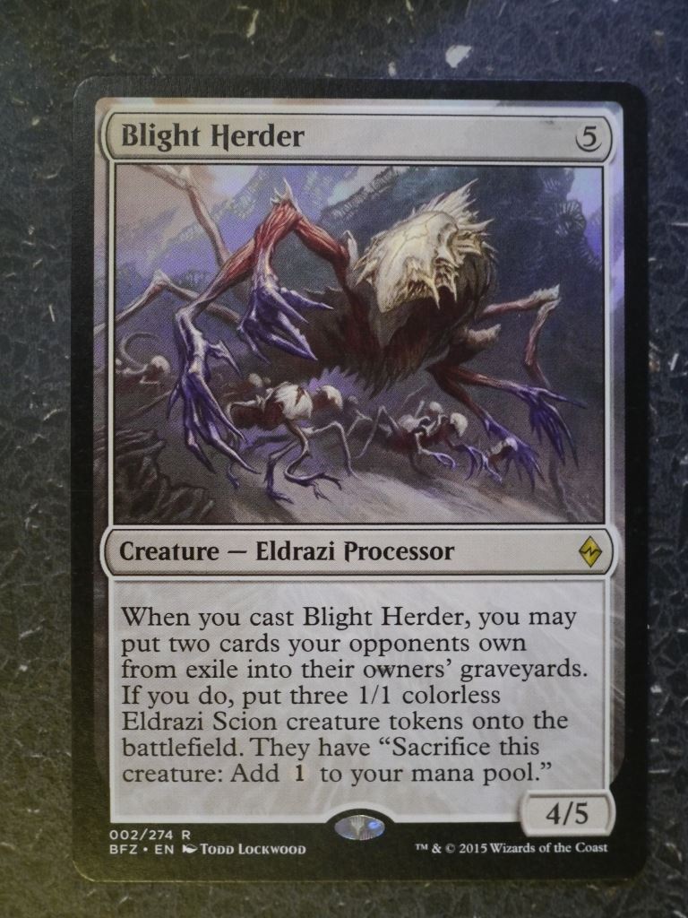 MTG Magic Cards: BLIGHT HERDER # 6J46