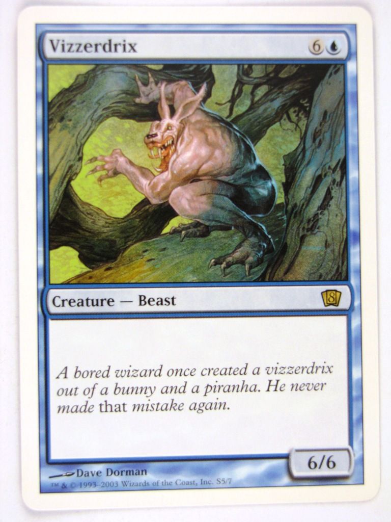 MTG Magic: The Gathering Cards: VIZZERDRIX eighth edition - Played Rare