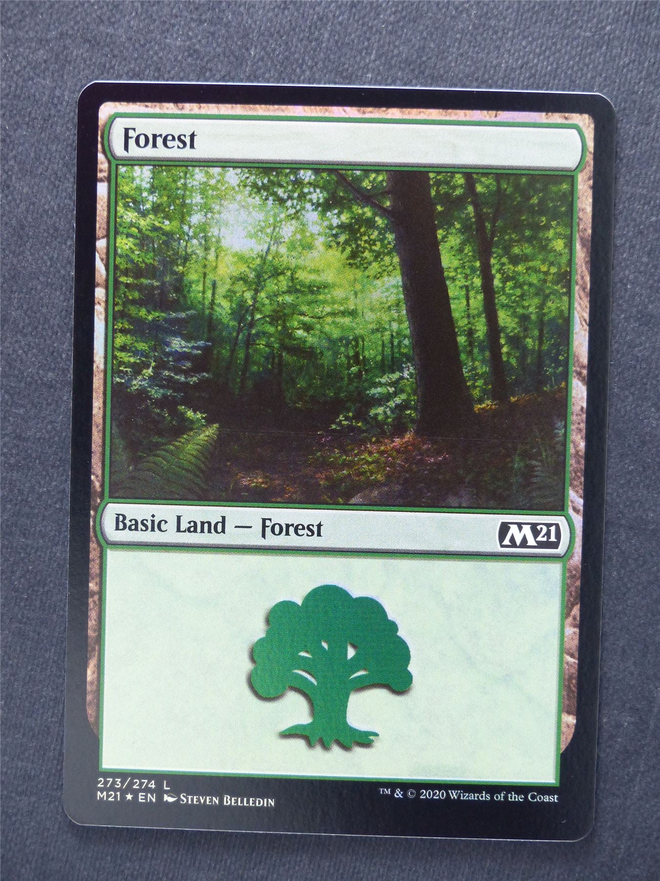 Forest 273/274 Foil - Mtg Magic Cards #YL