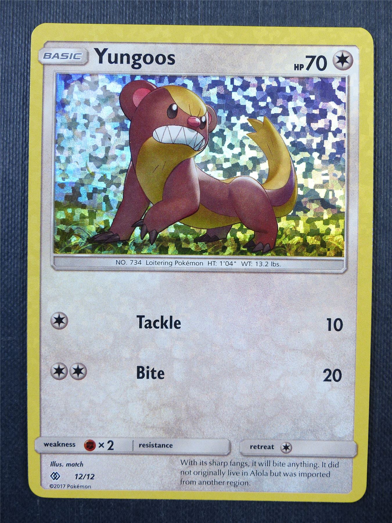 Yungoos 12/12 Holo - Pokemon Card #42L