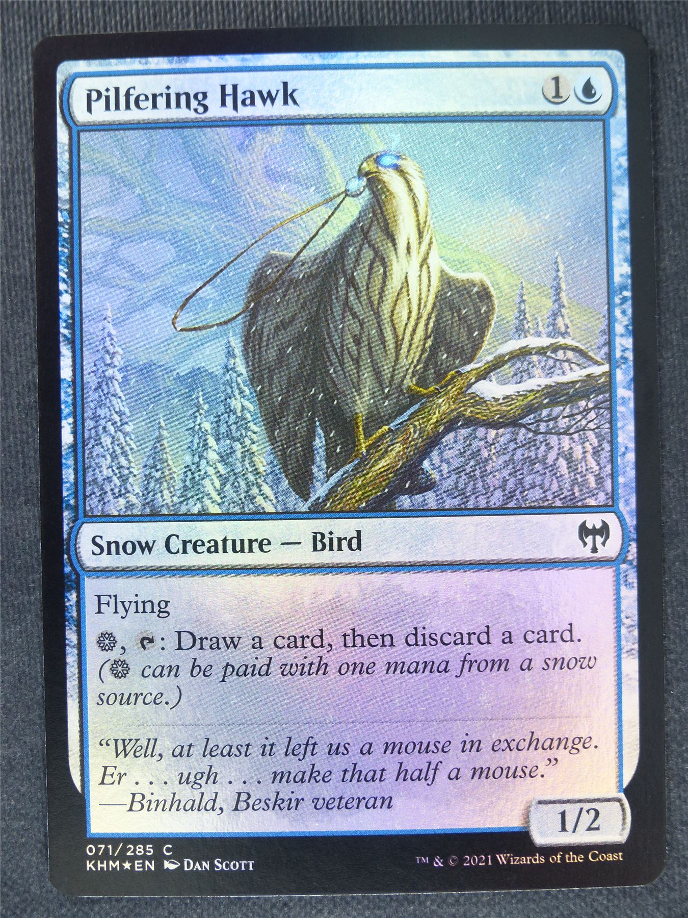 Pilfering Hawk Foil Collector