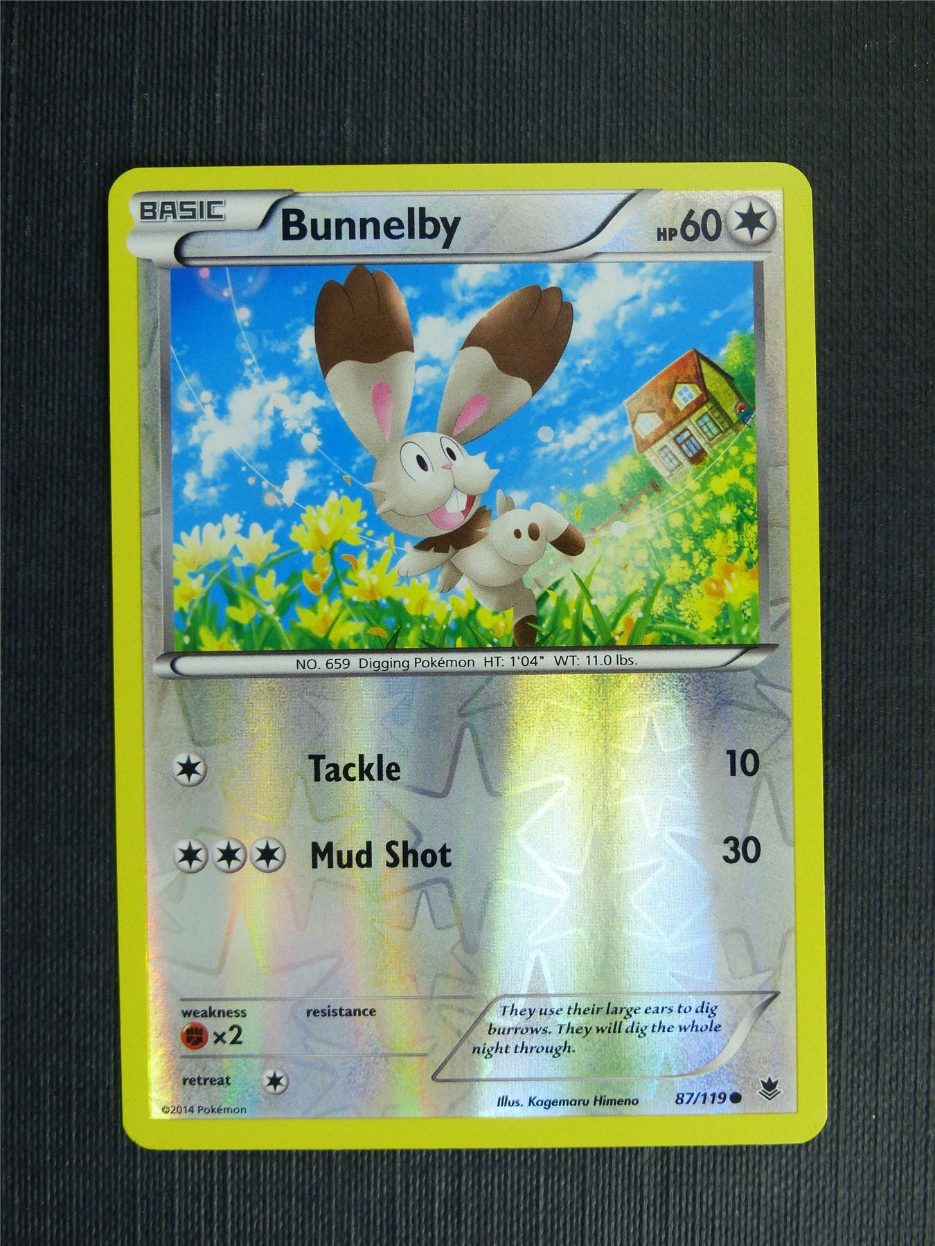 Bunelby 87/119 Reverse Holo - Pokemon Cards #1DQ