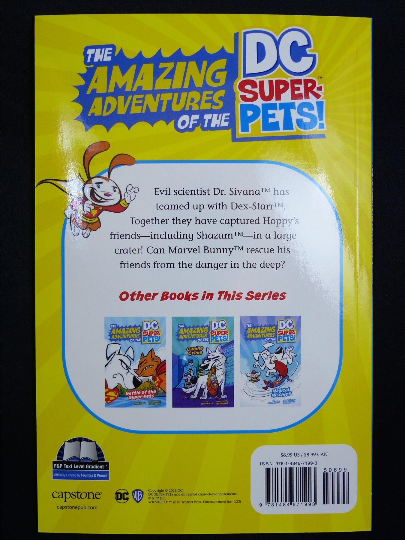 The Amazing Adventures of the DC SUPER-PETS!: Danger in the Deep - DC Mini-Novel Softback #2DG