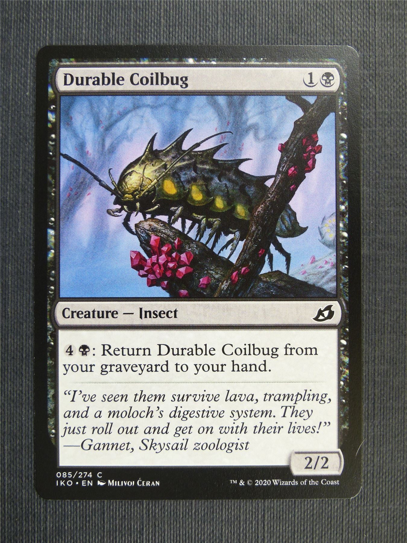 Durable Coilbug - IKO Mtg Card