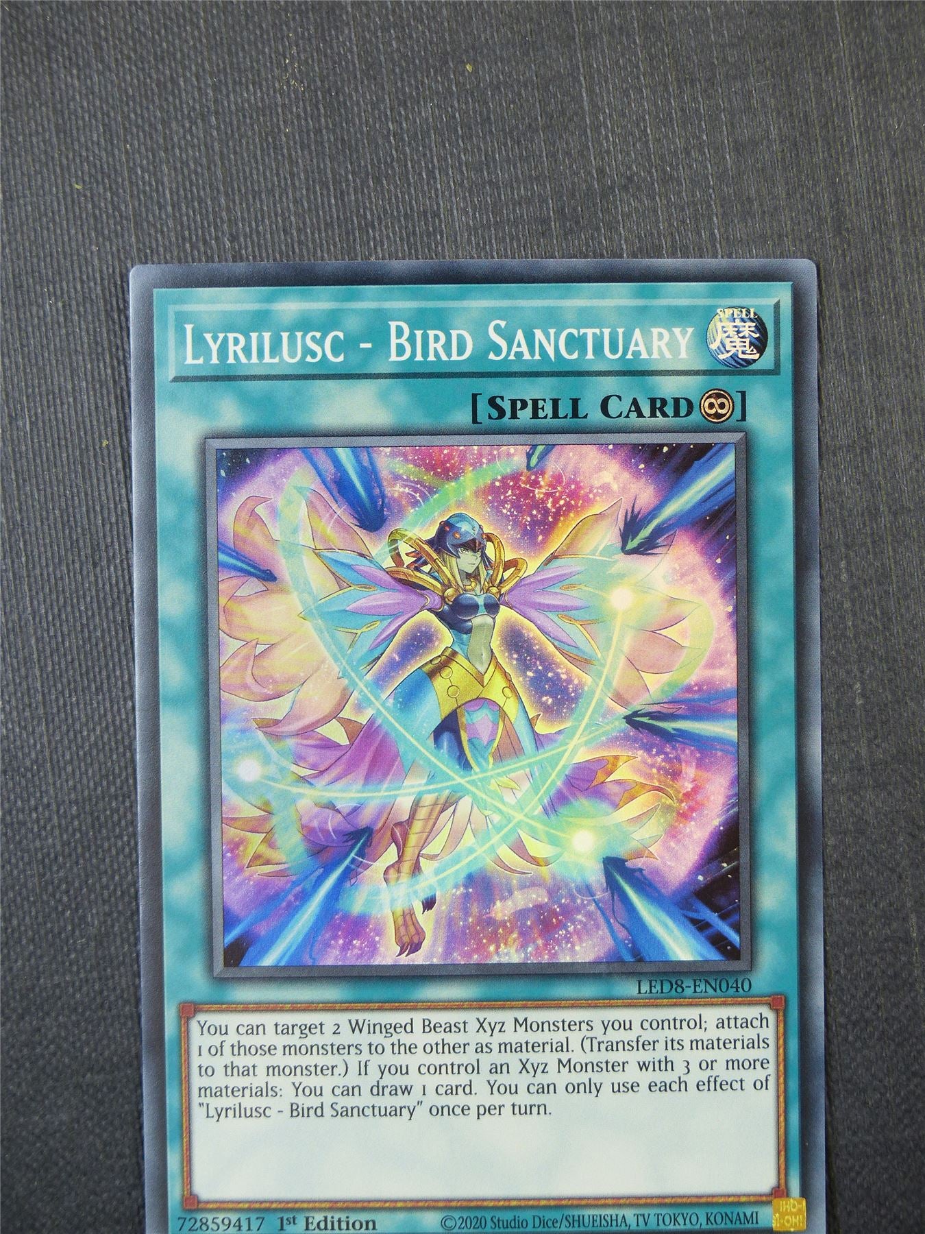 Lyrilusc- Bird Sanctuary - Yugioh Card #9HW