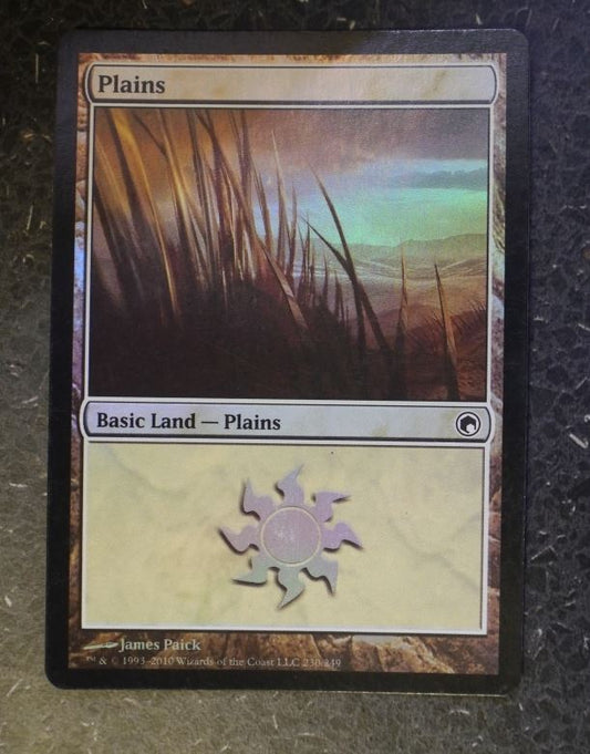 MTG Magic Cards Foil: PLAINS 230/249 # 10E70