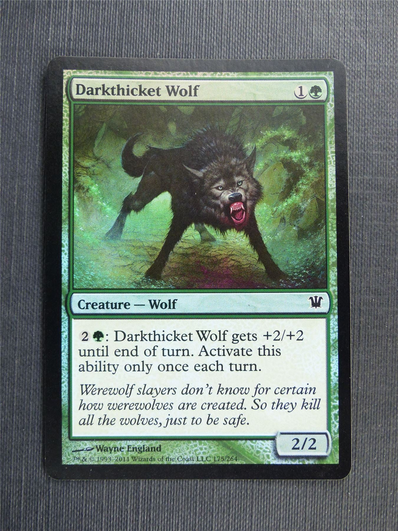 Darkthicket Wolf Foil - Mtg Magic Cards #56H