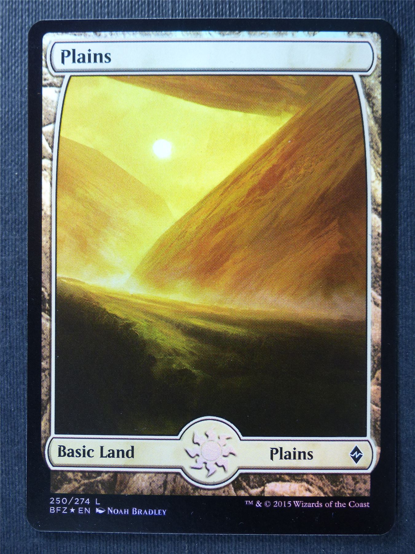 Plains 250/274 Full Art Foil - Mtg Card #37L