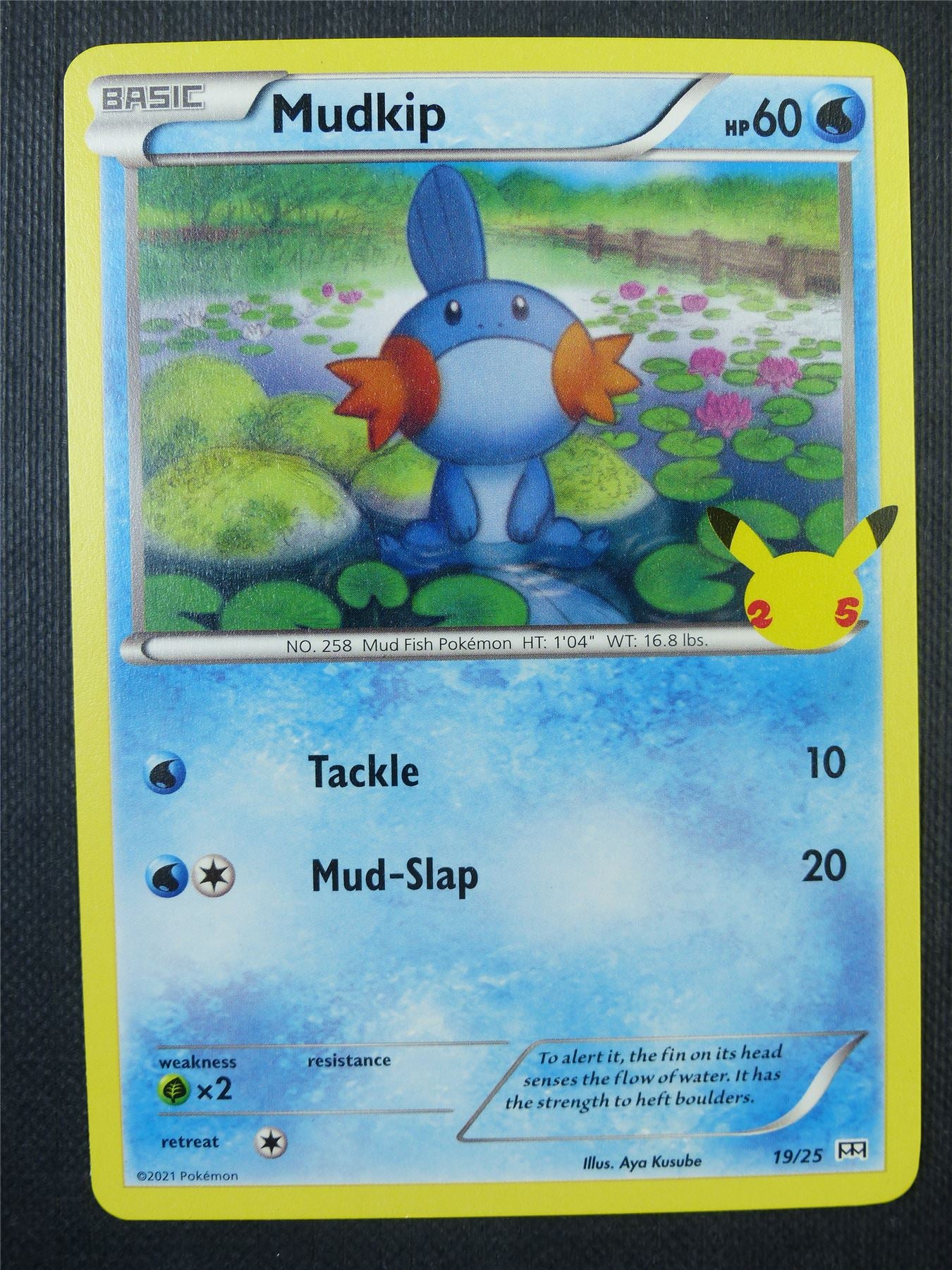 Mudkip 19/25 Mcdonalds Promo - Pokemon Card #6R1