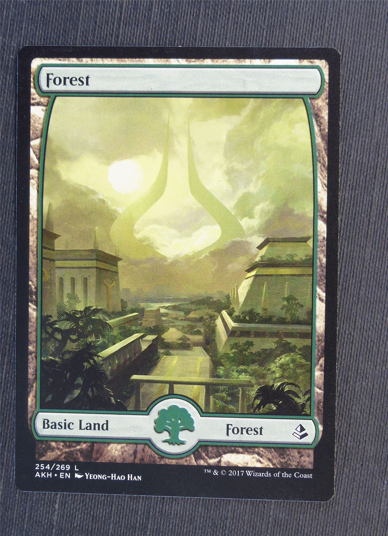 Forest Full Art 254/269 - Mtg Magic Cards #5E9