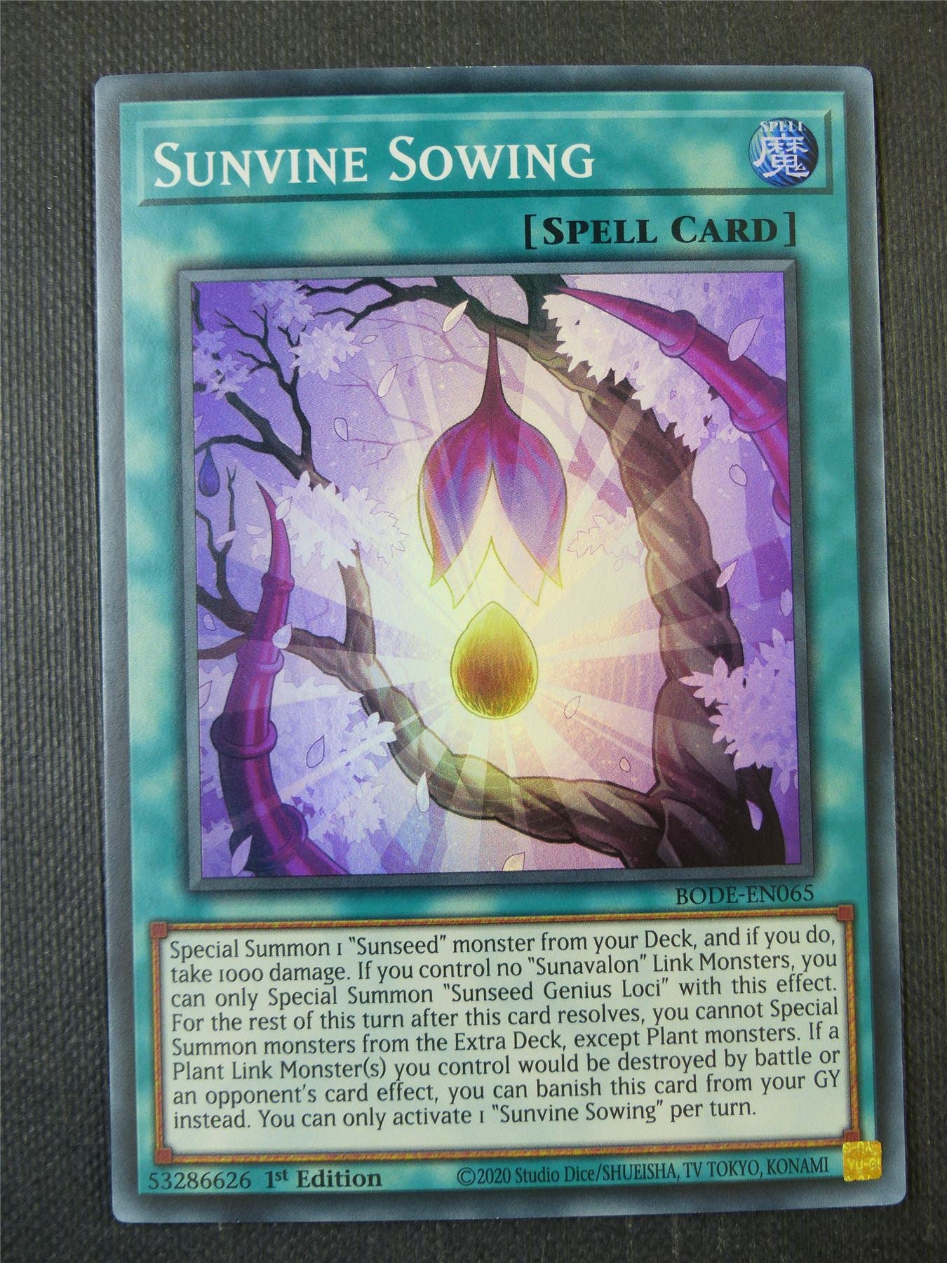 Sunvile Sowing BODE Super Rare - 1st ed Yugioh Card #9ER