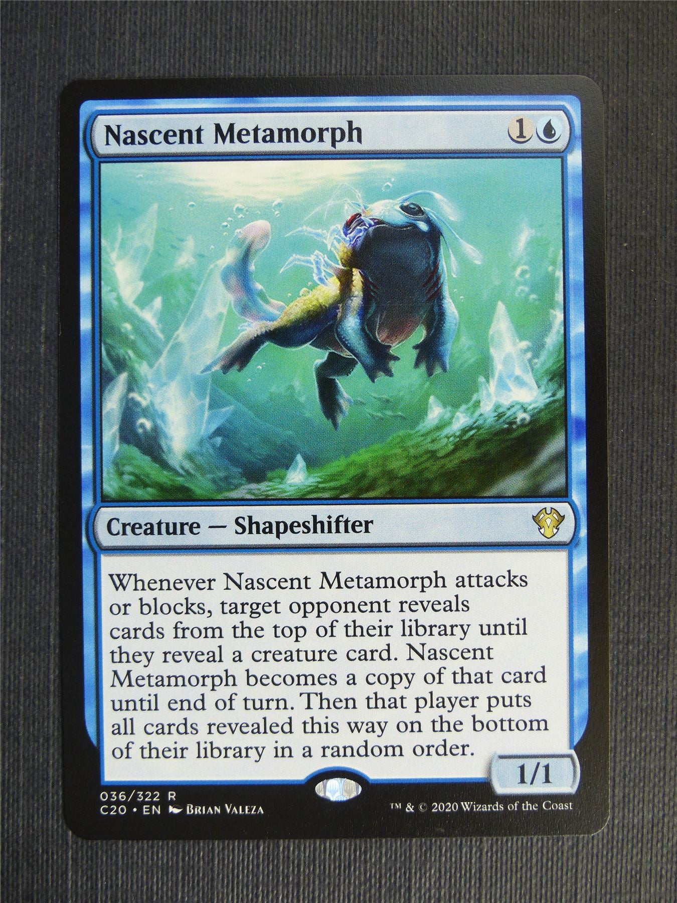 Nascent Metamorph - C20 - Mtg Card