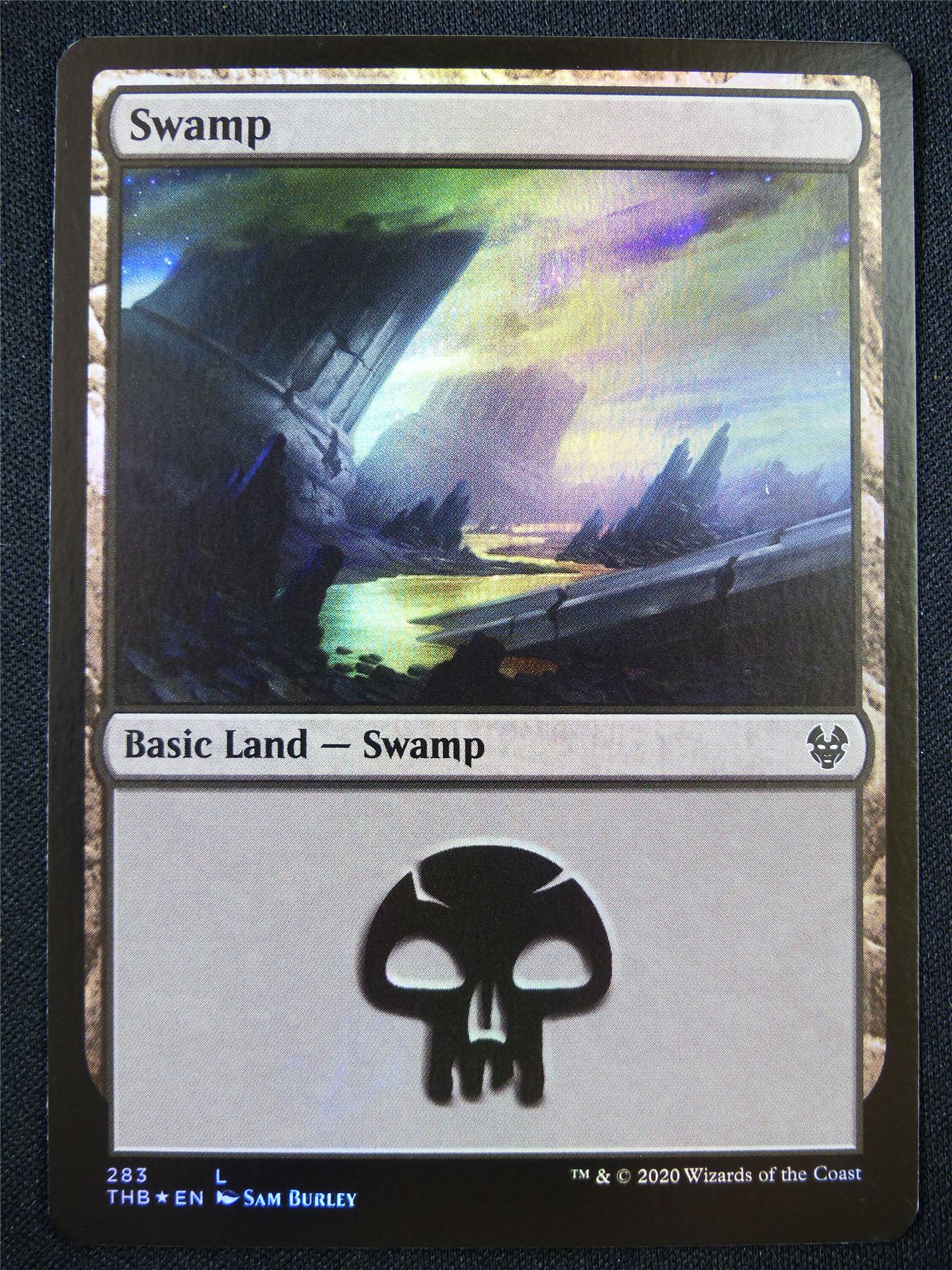 Swamp 283 Foil - Mtg Card #22X