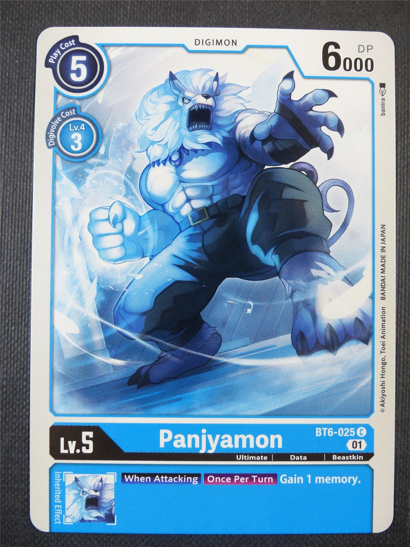 Panjyamon BT6-025 C - Digimon Card #60Z