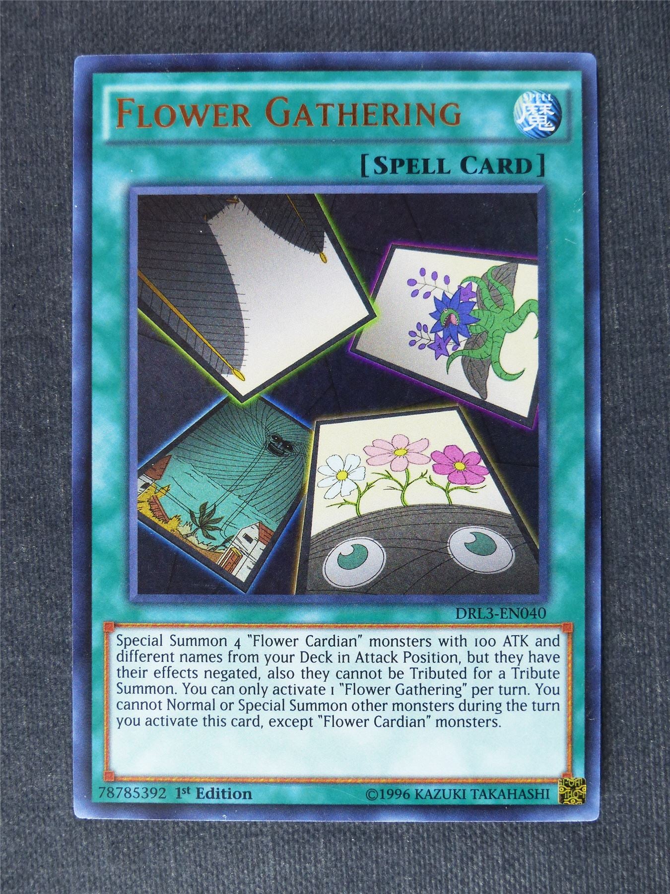 Flower Gathering DRL3 Ultra Rare - 1st ed - Yugioh Cards #S1