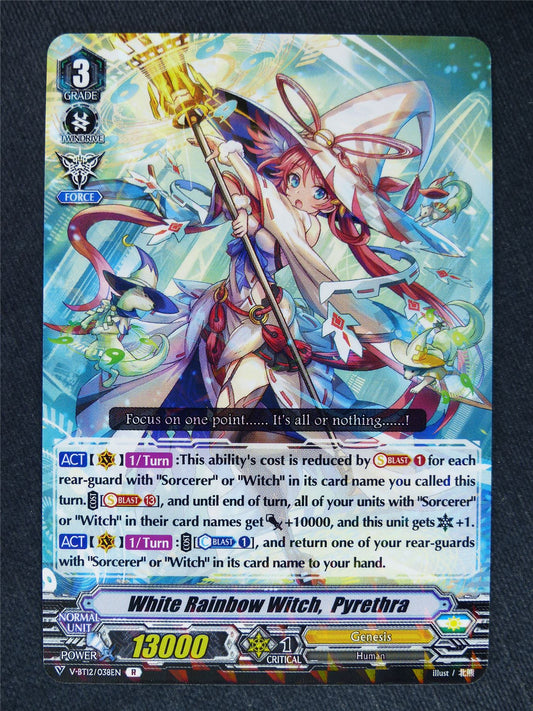 White Rainbow Witch Pyrethra