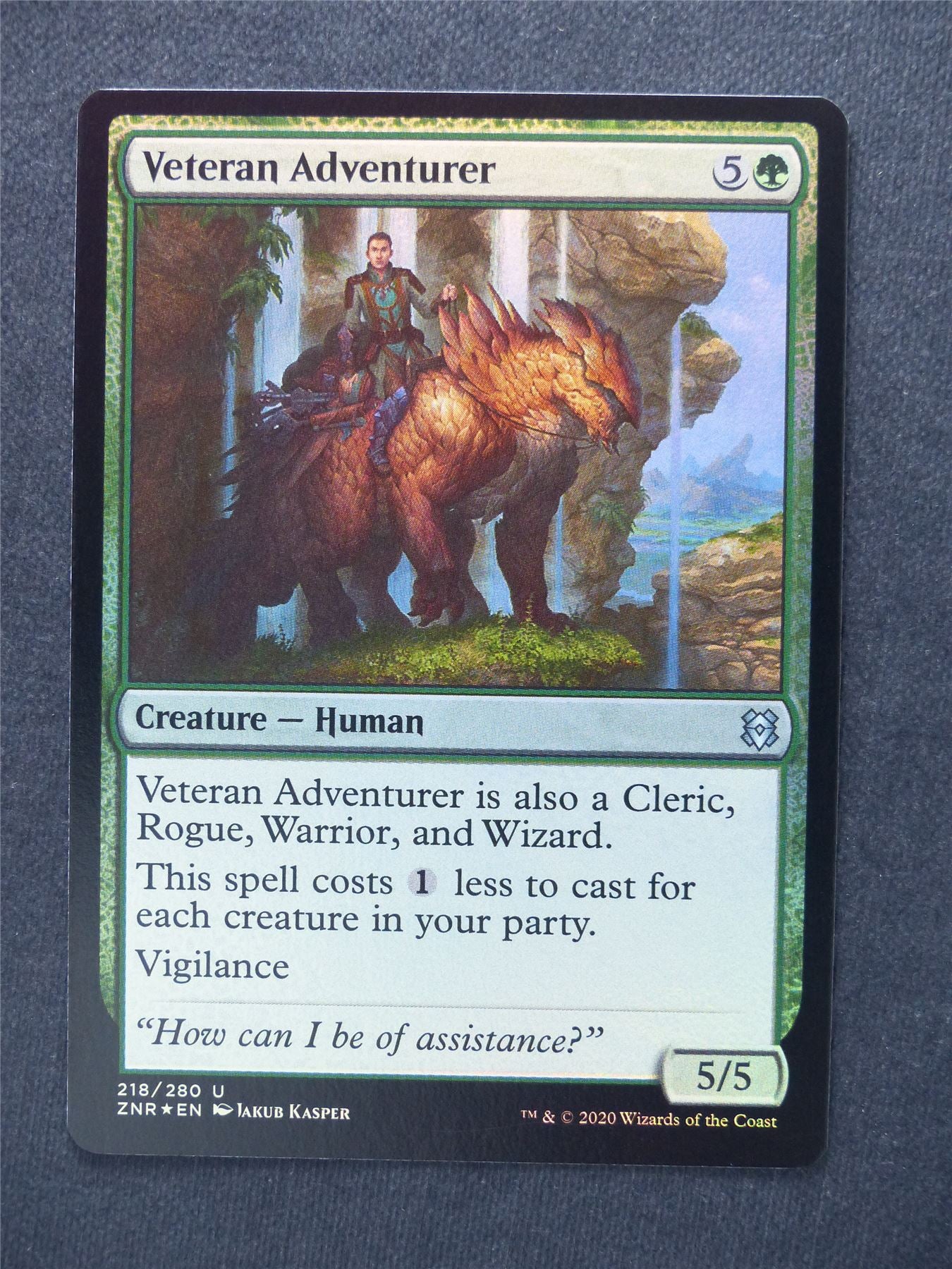 Veteran Adventurer Foil - Mtg Magic Cards #US