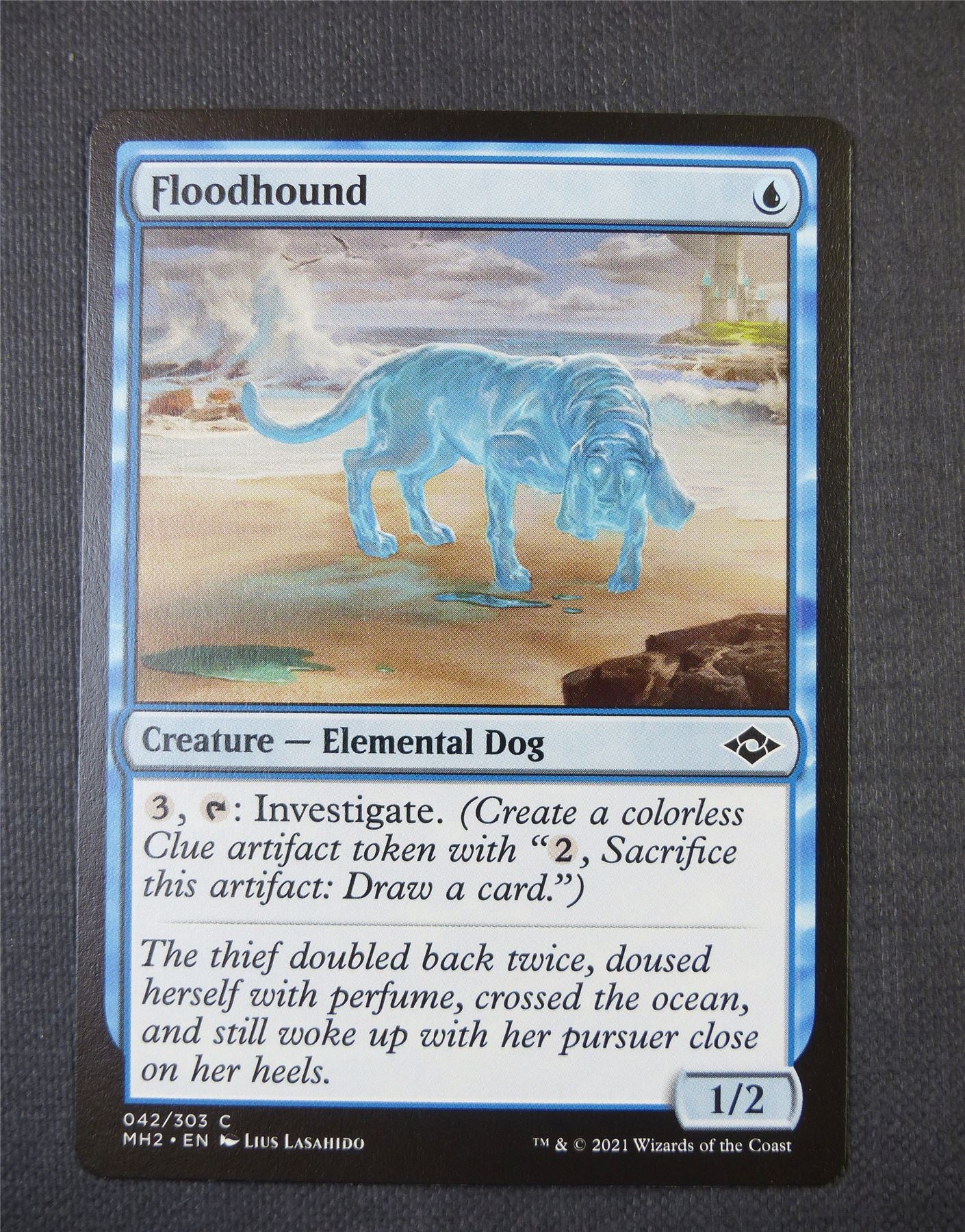 Floodhound - Mtg Card #4ZR