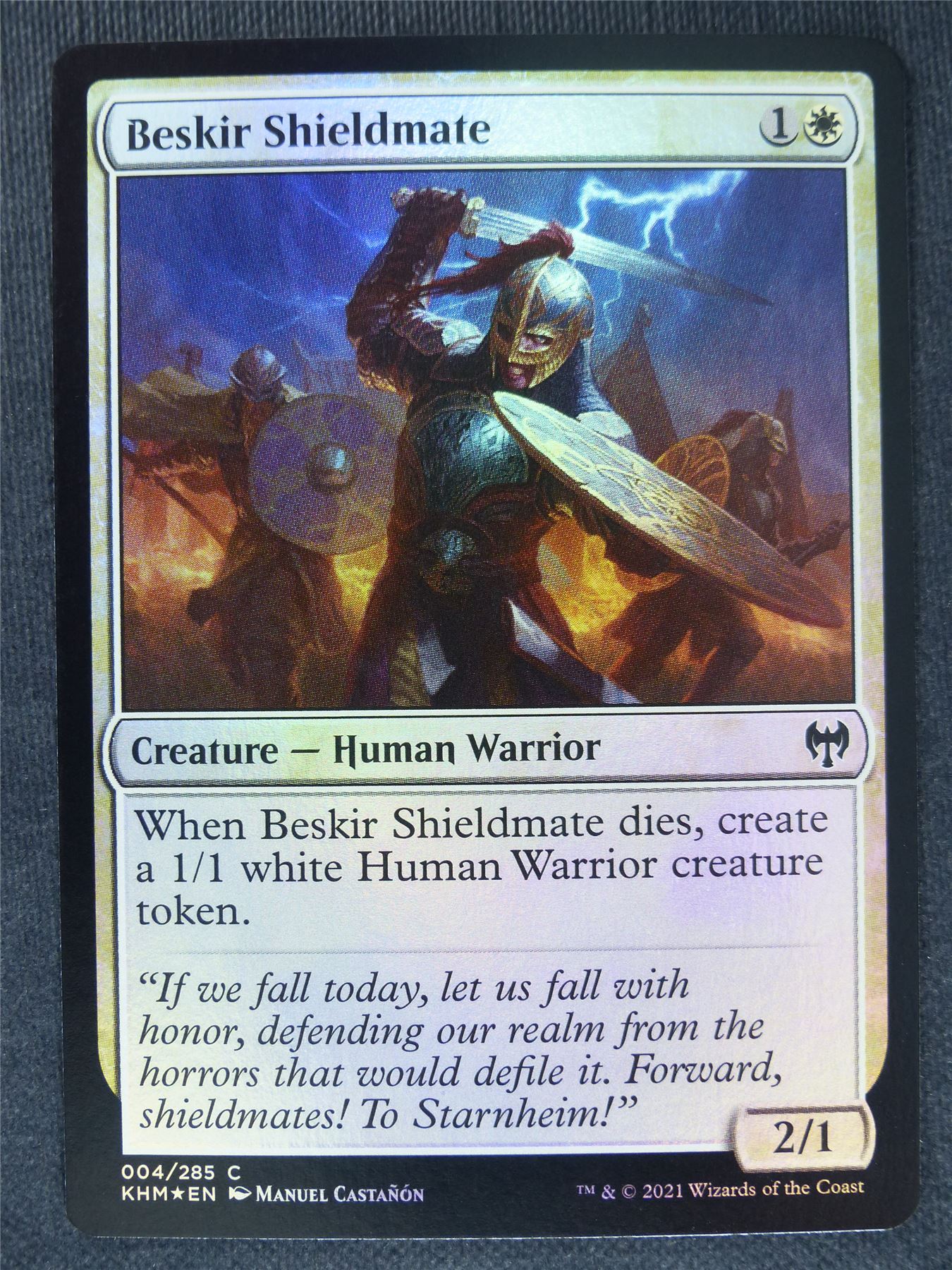 Beskir Shieldmate Foil Collector
