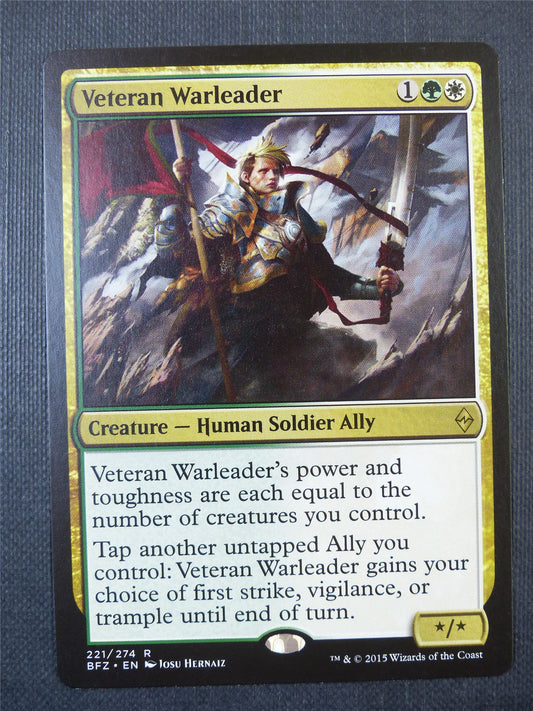 Veteran Warleader - Mtg Card #8VU