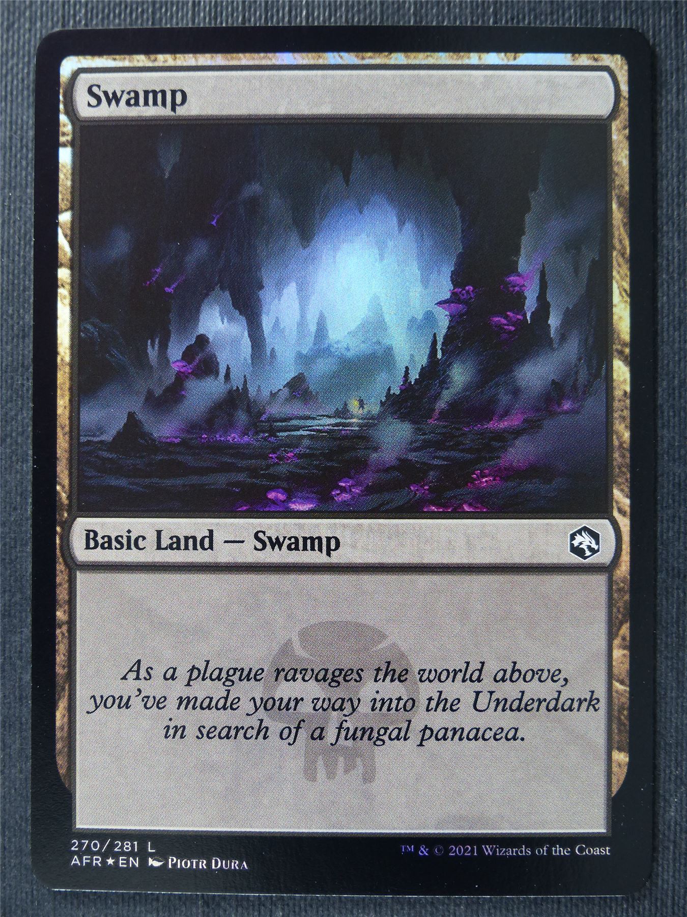 Swamp 270/281 Foil - AFR - Mtg Card #2C6