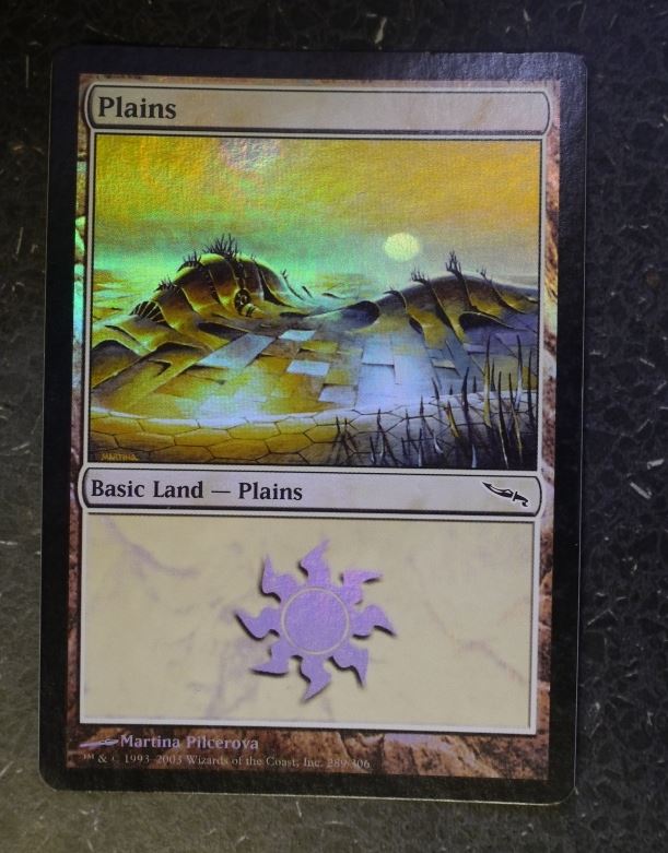 MTG Magic Cards Foil: PLAINS 289/306 # 10E61