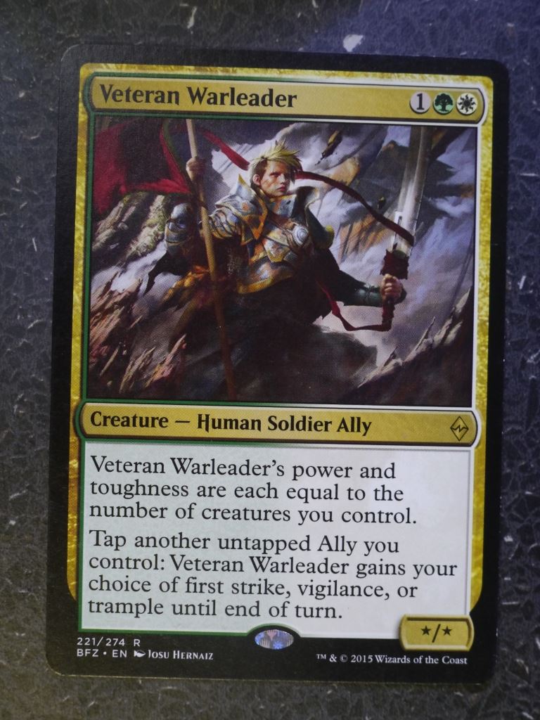 MTG Magic Cards: VETERAN WARLEADER # 6J49