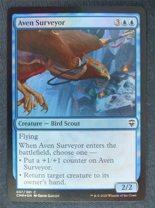 Aven Surveyor Foil - Mtg Magic Cards #IR