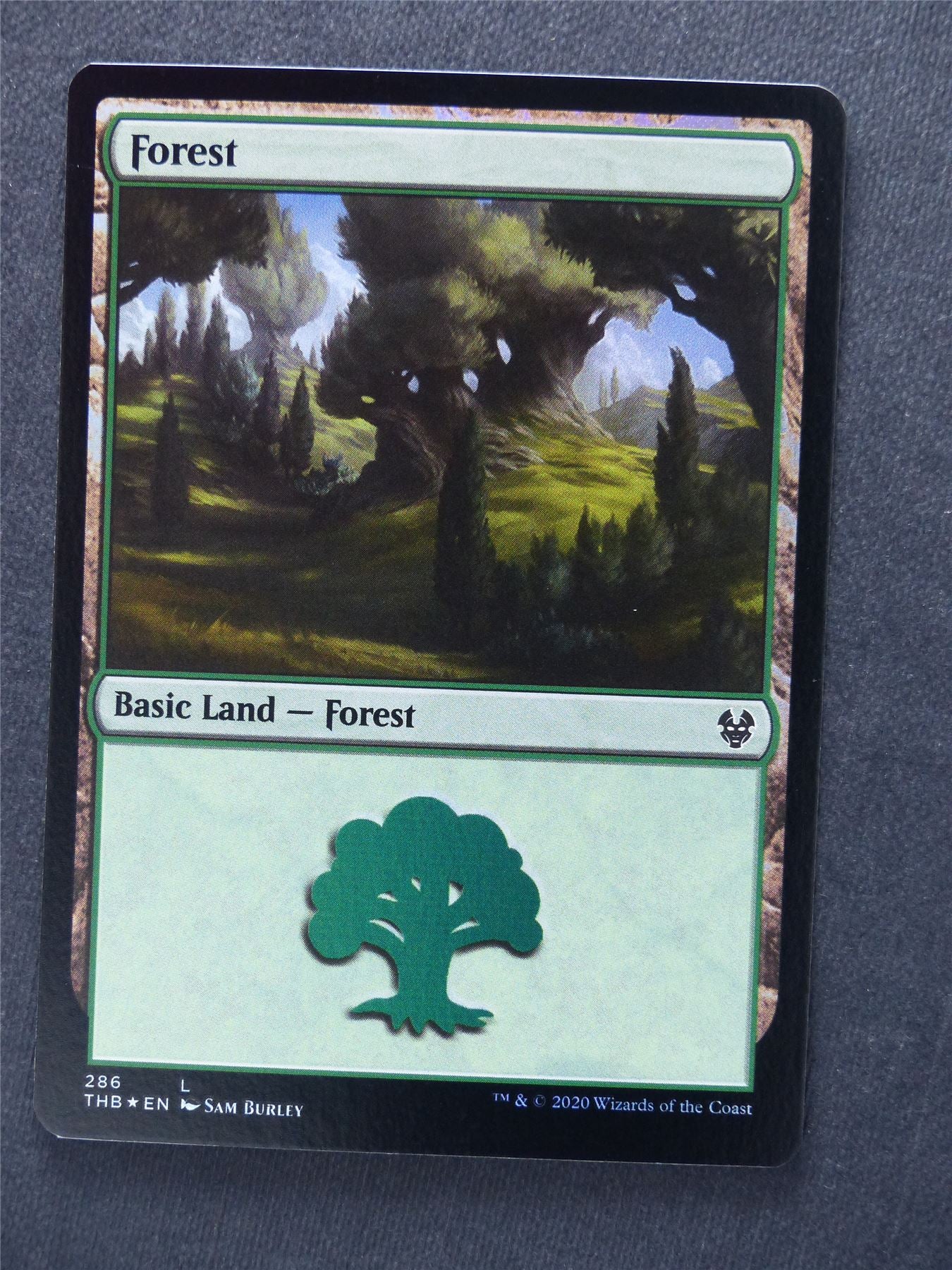 Forest 286 Foil - Mtg Magic Cards #YP