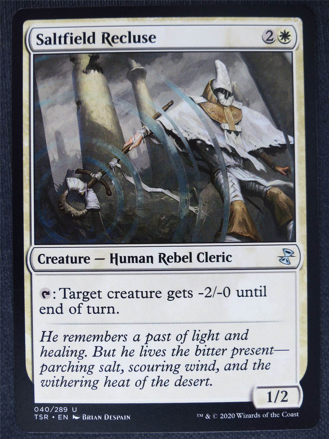 Saltfield Recluse - Remastered - Mtg Magic Cards #RQ