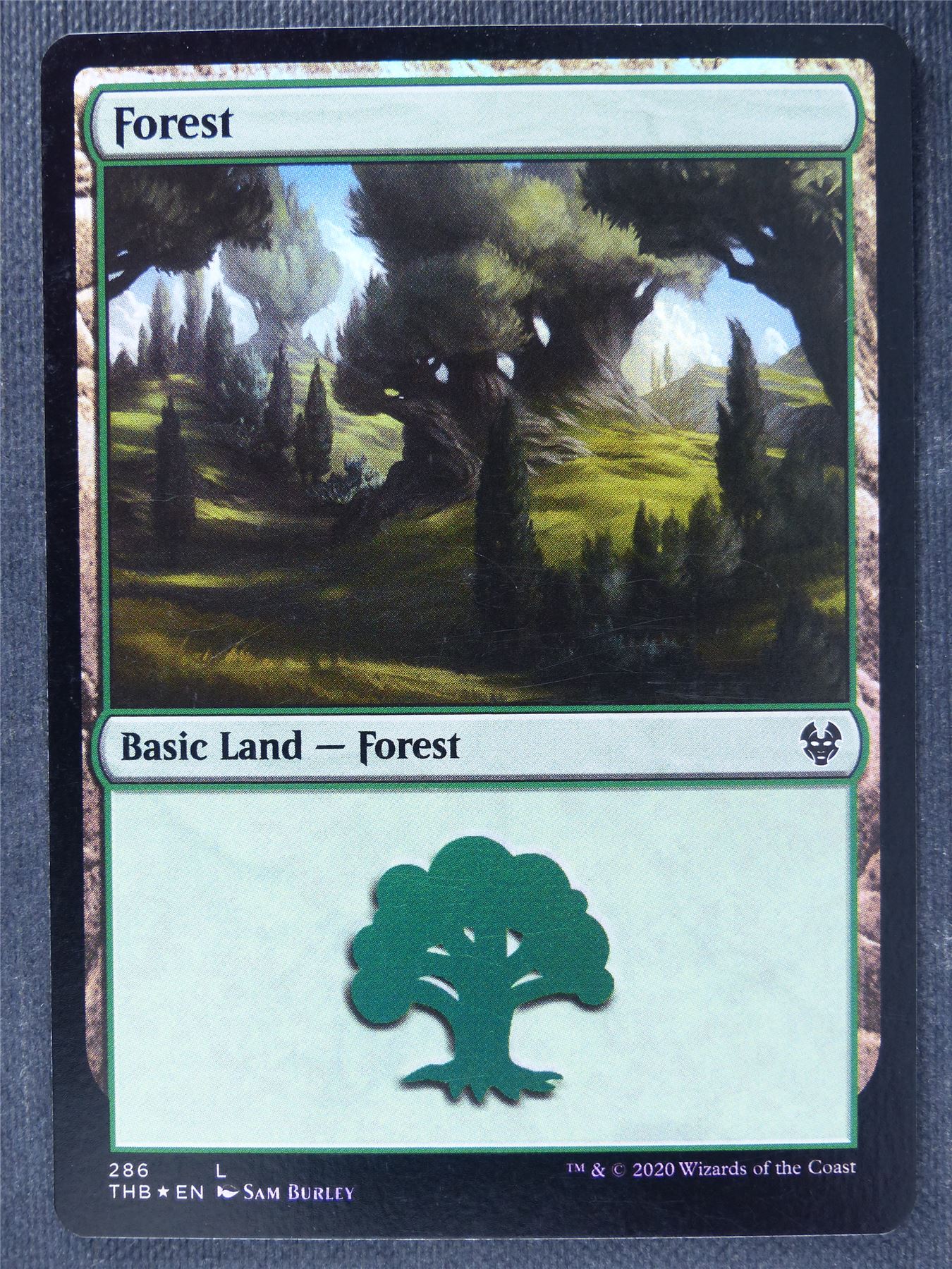 Forest 286 Foil - Mtg Magic Cards #RA