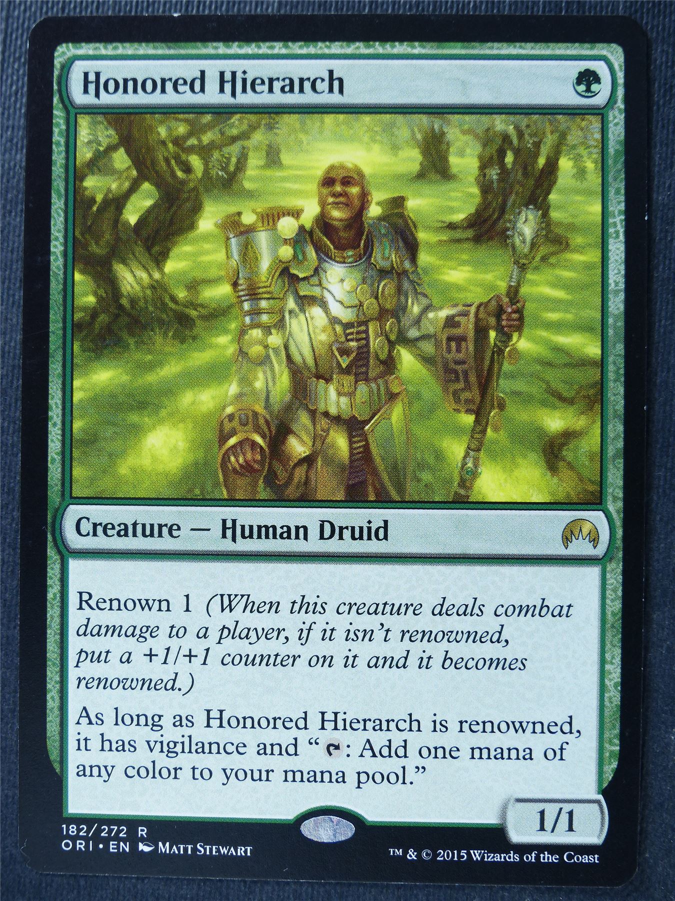 Honored Hierarch - Mtg Card #4RG