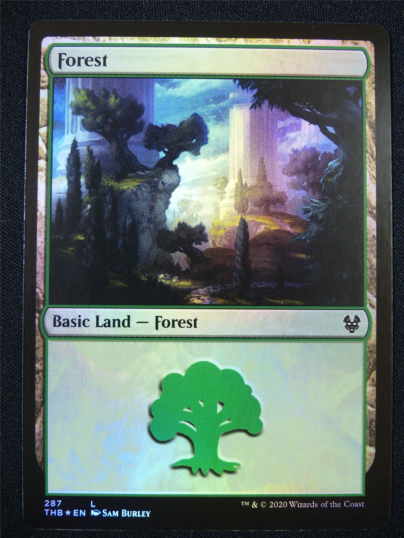 Forest 287 Foil - Mtg Card #22T