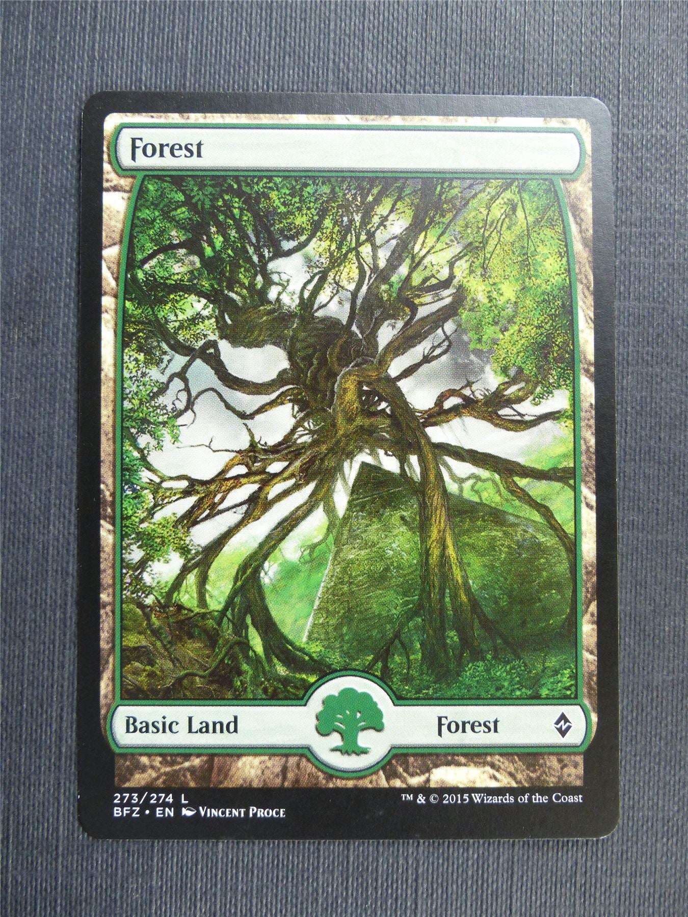 Forest Fullart 273/274 - Mtg Magic Cards #4CM