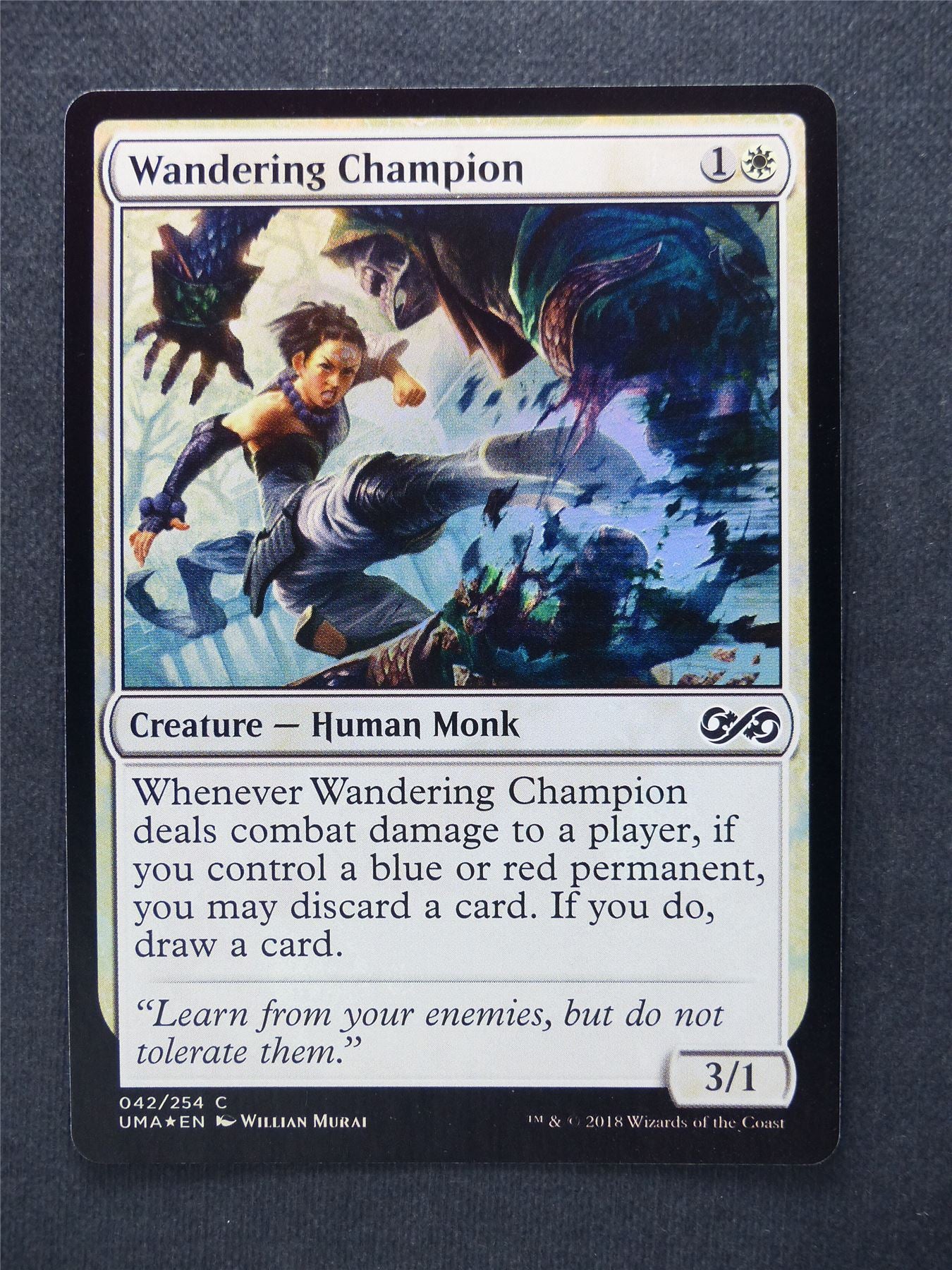 Wandering Champion Foil - Mtg Magic Cards #LA