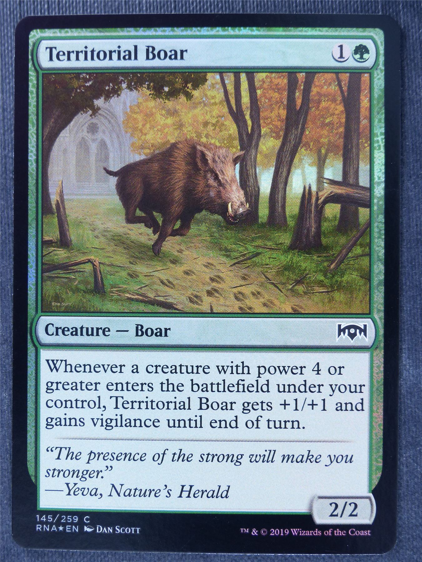 Territorial Boar Foil - Mtg Magic Cards #1WC