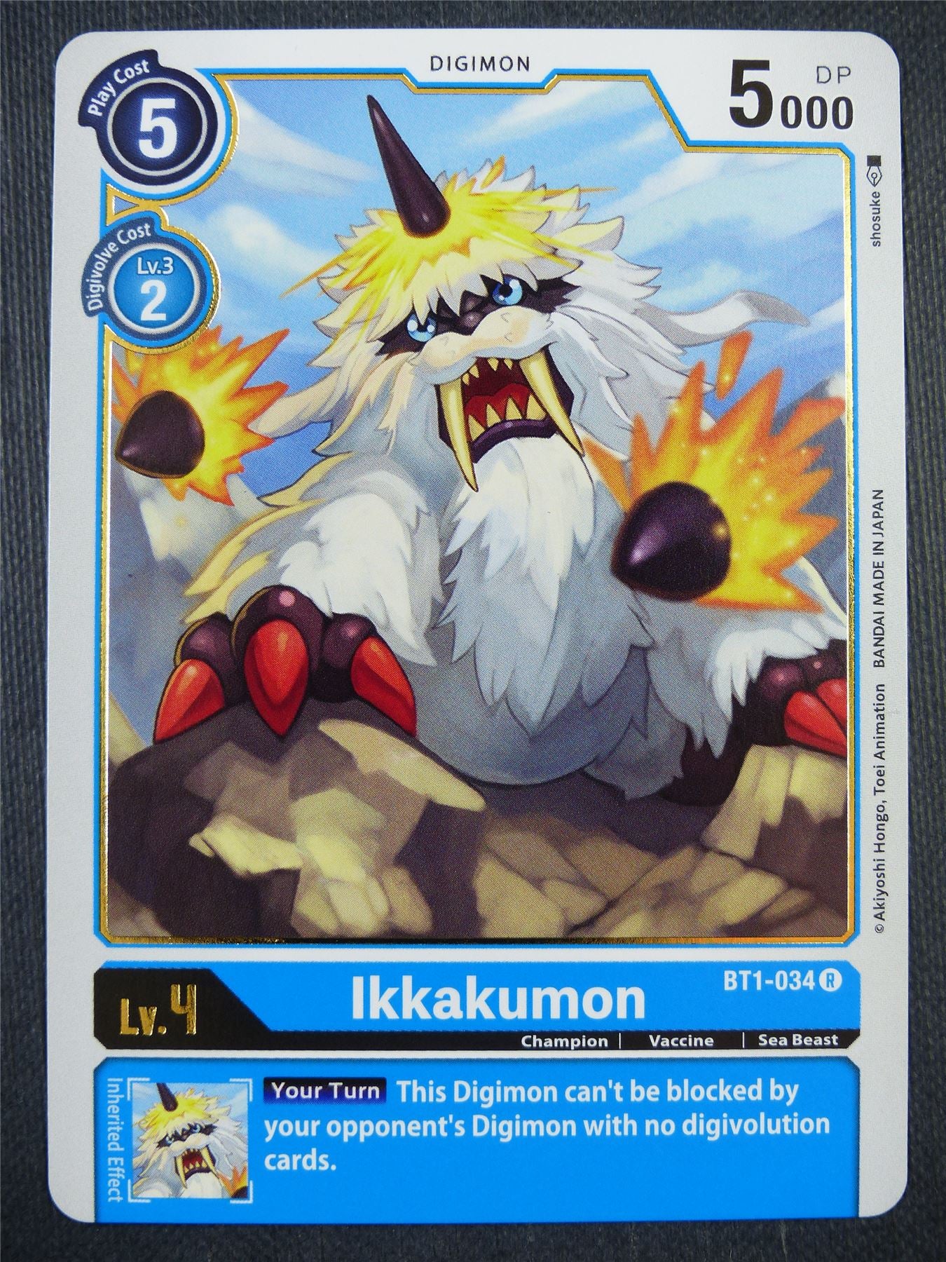 Ikkakumon BT1-034 R - Digimon Card #9GA