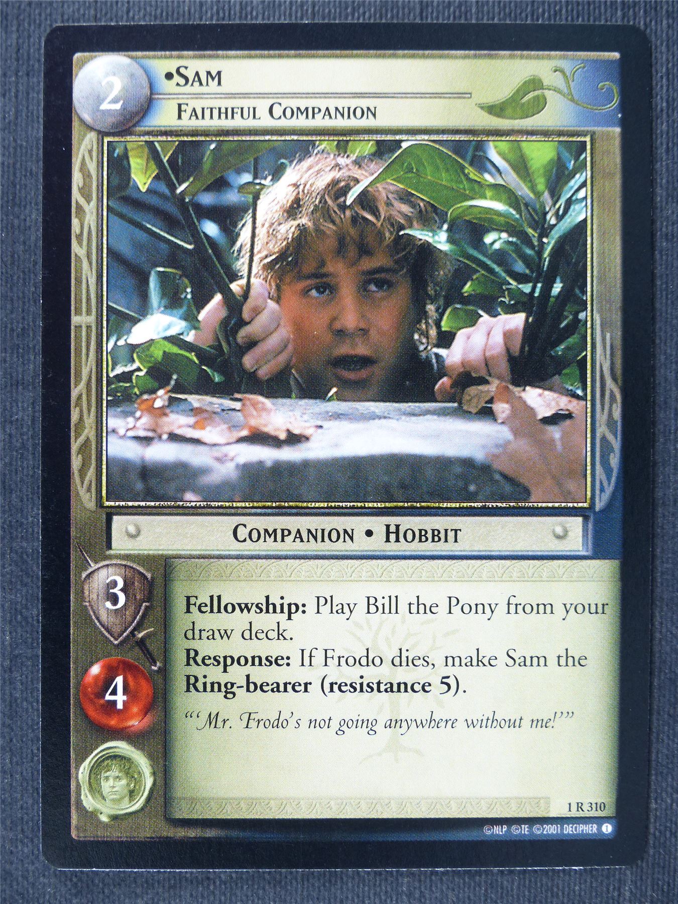 Sam 1 R 310 - LotrR Cards #3CM