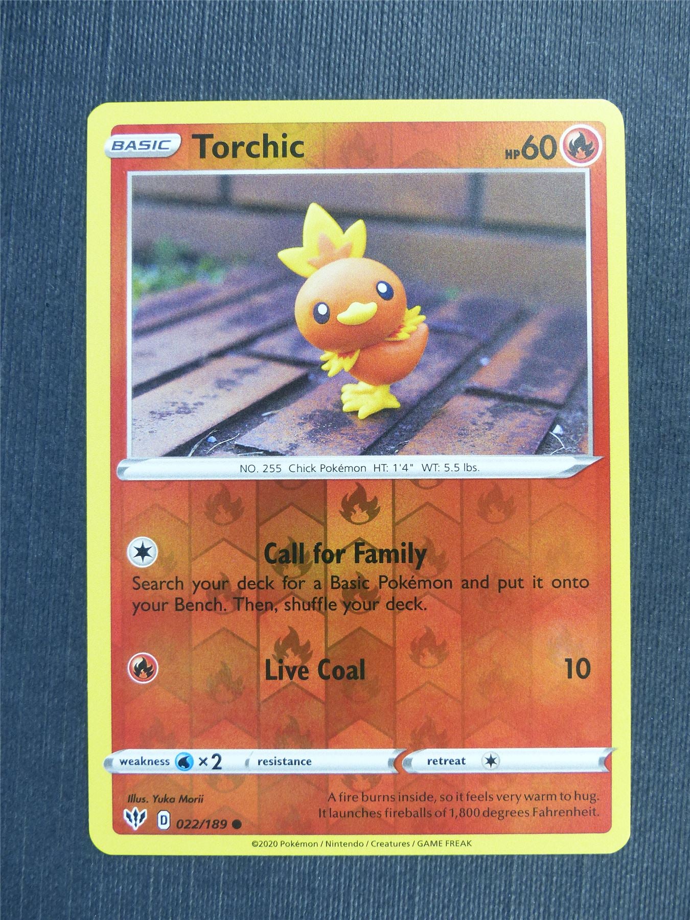 Torchic 022/189 Reverse Holo - DAA - Pokemon Card  #3CH