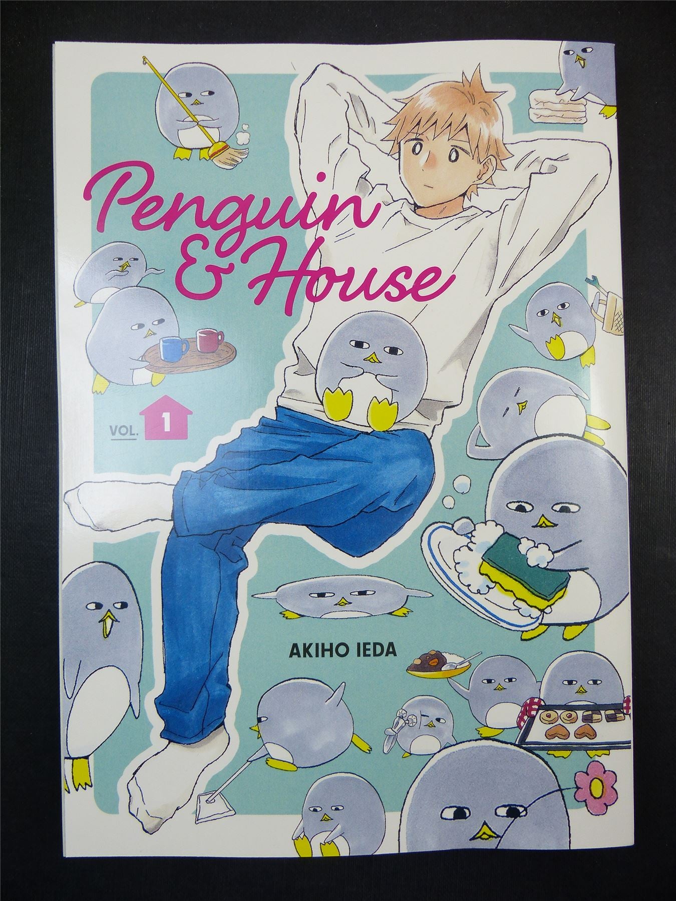 PENGUIN & House Vol 1 - Akiho Ieda Manga #9X2
