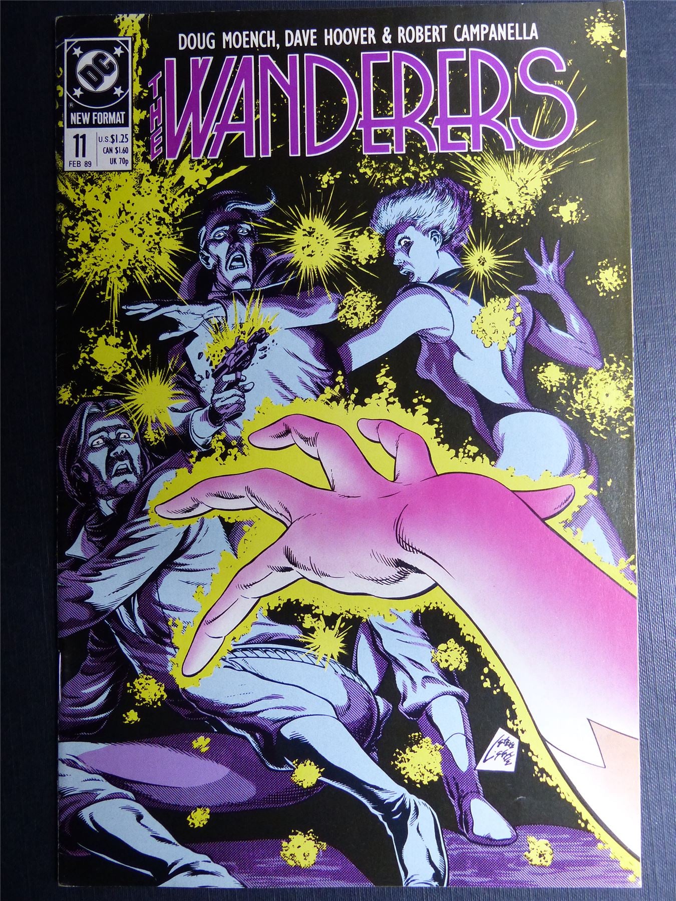 The WANDERERS #11 - DC Comics #81