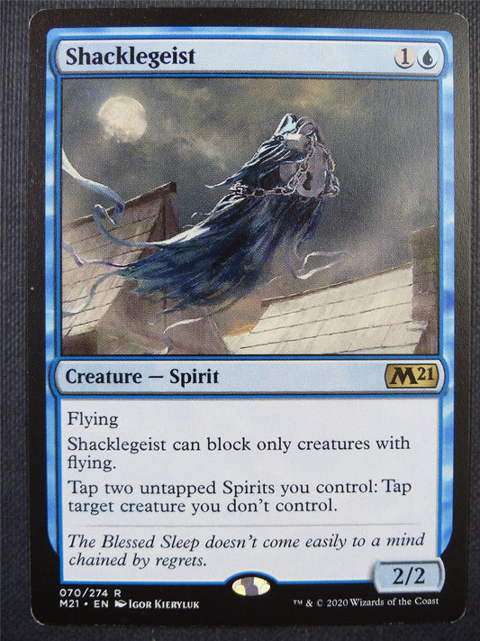 Shecklegeist - Mtg Card #65Q