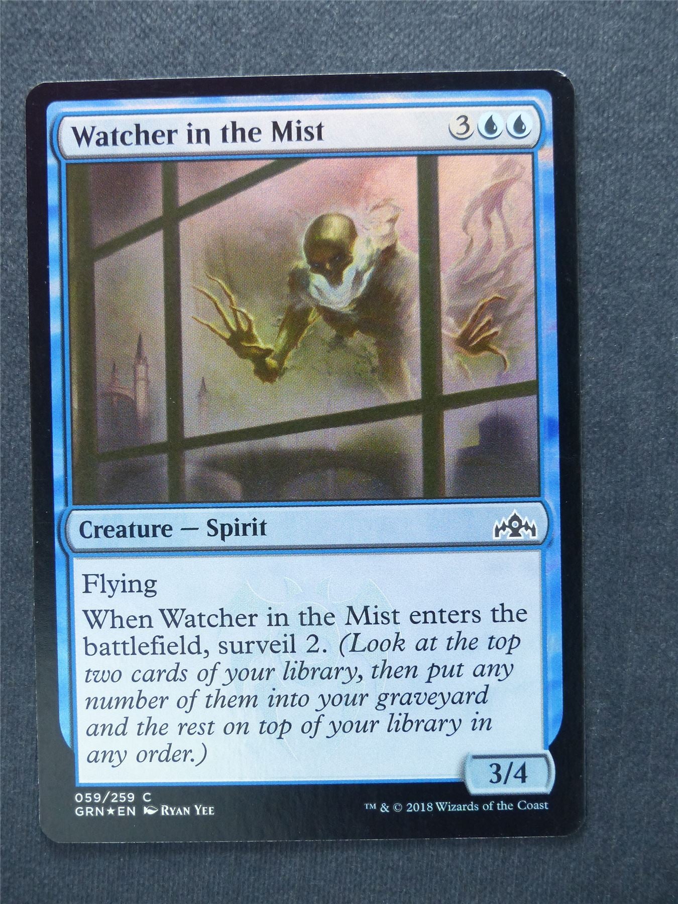 Watcher in the Mist Foil - Mtg Magic Cards #M2