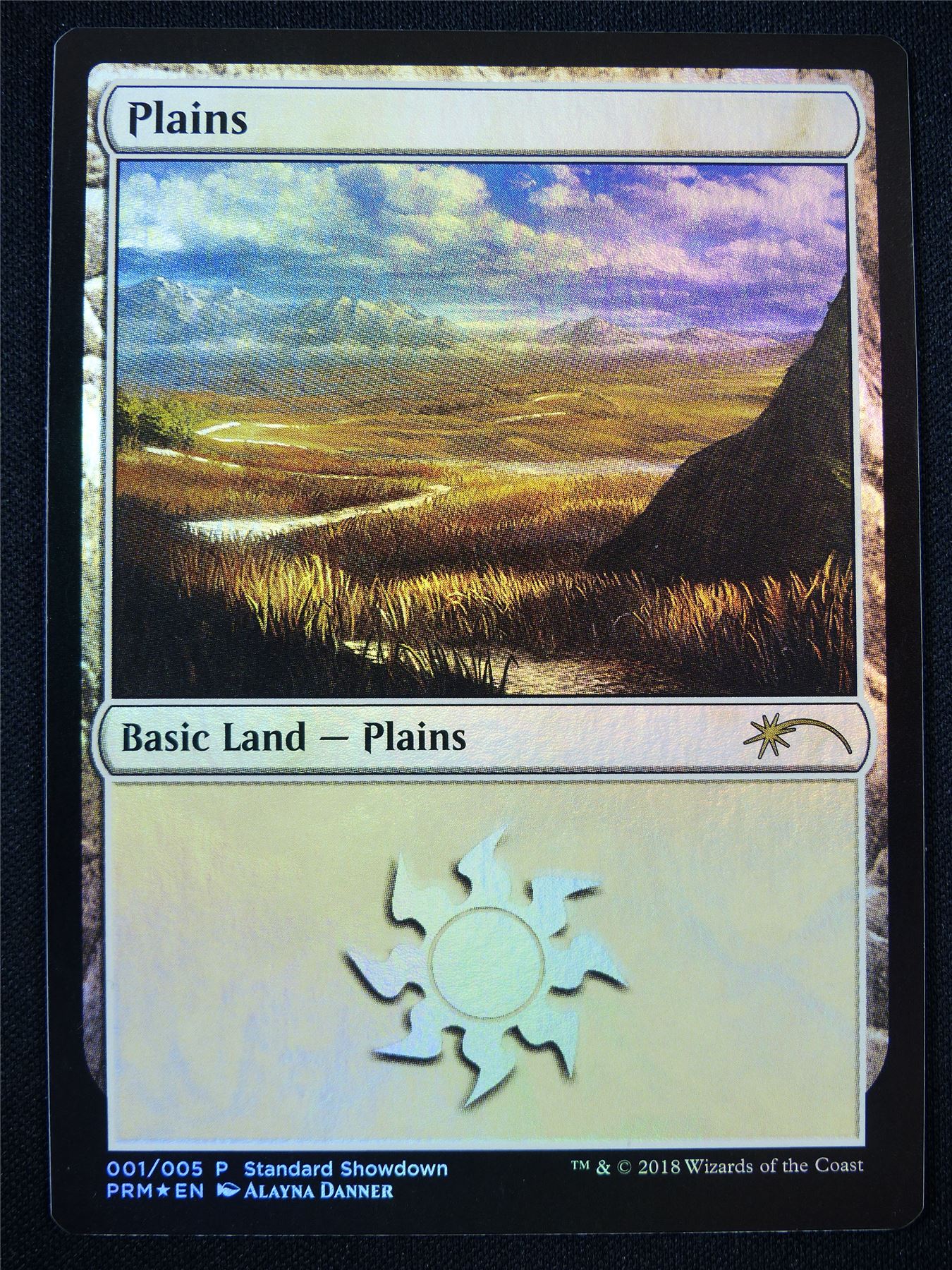 Plains 001/005 Promo Foil - Mtg Card #1ZQ