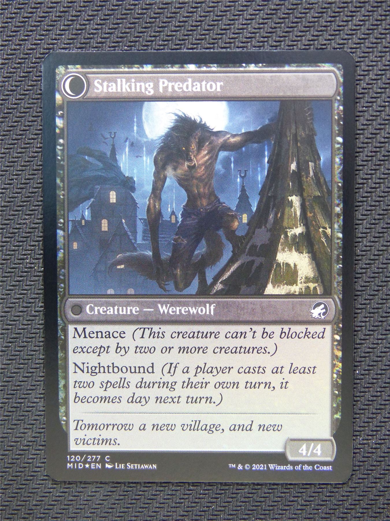 Shady Traveller Stalking Predator Foil - Innistrad - Mtg Card #3O6