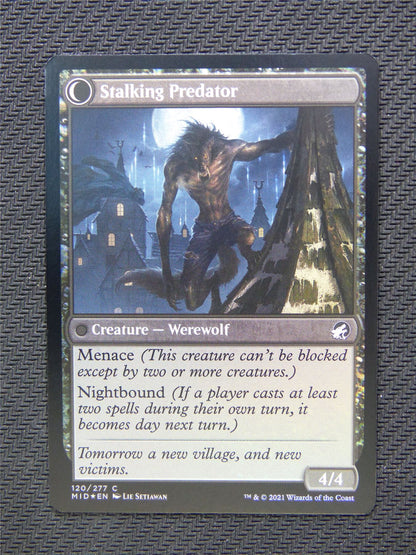 Shady Traveller Stalking Predator Foil - Innistrad - Mtg Card #3O6