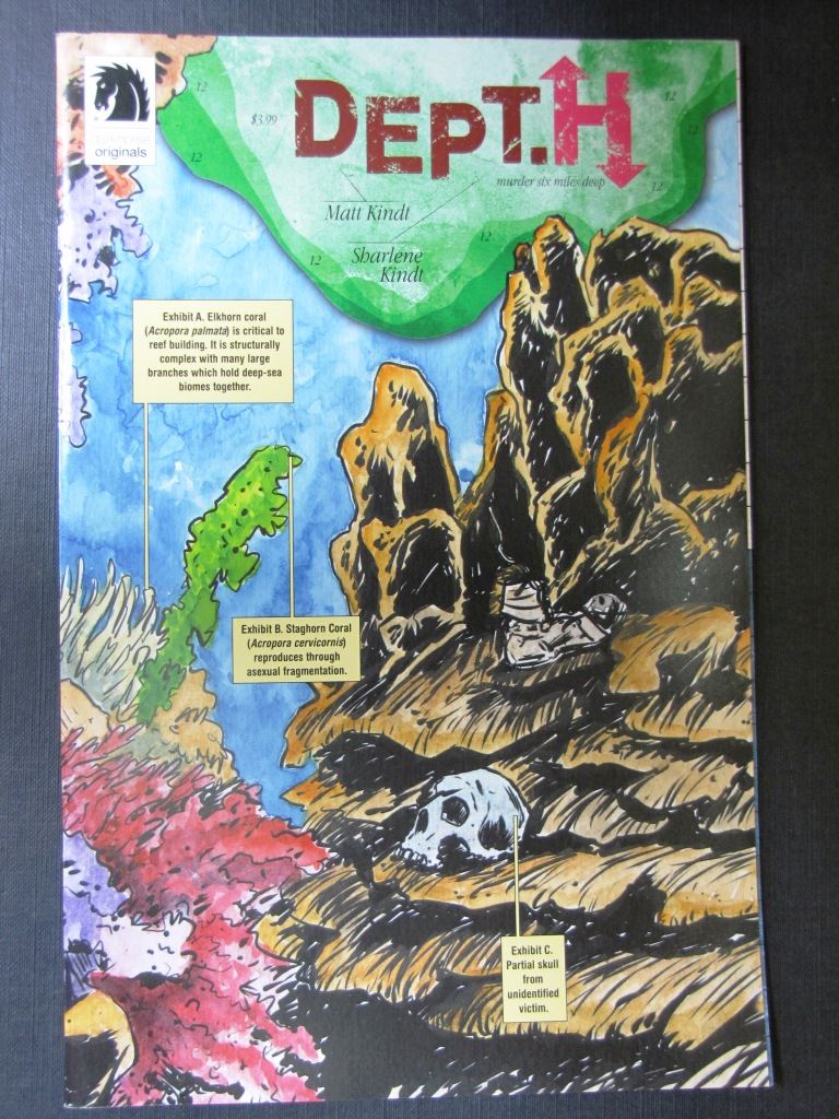 Dept. H #12 - Dark Horse Comics # 5C85